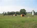Horse pastures with run-in sheds